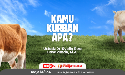 Kamu Kurban Apa?