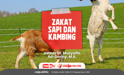 Zakat Sapi dan Kambing